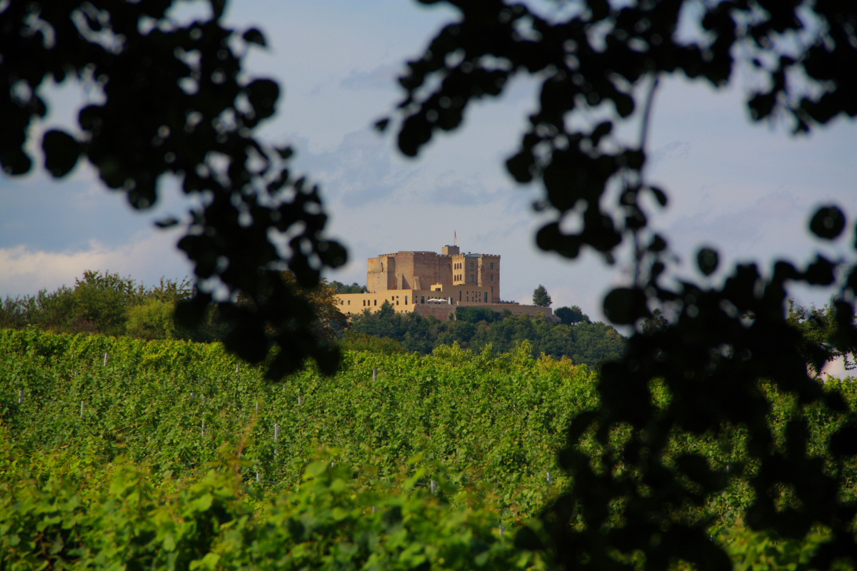 Hambacher Schloss aus dem Weinberg