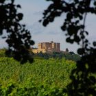 Hambacher Schloss aus dem Weinberg