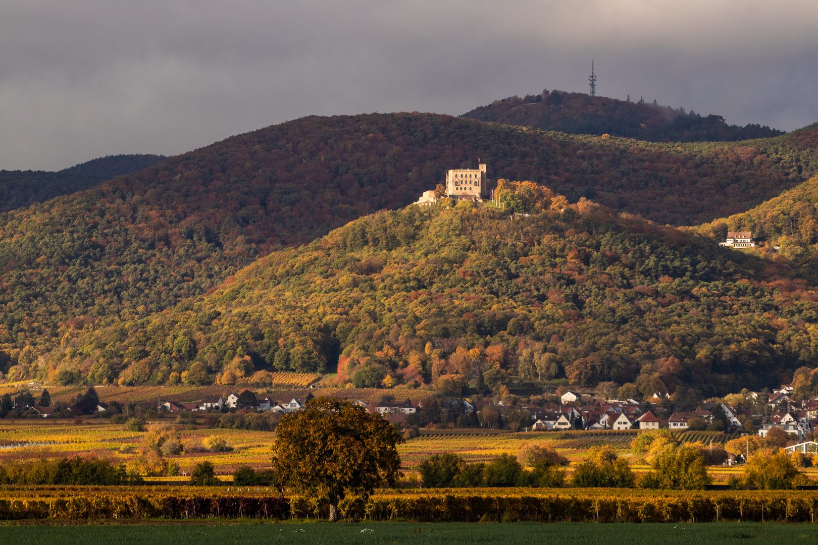 Hambacher Schloss im Herbst