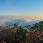 Hambacher Schloss im Nebelmeer