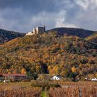 Hambacher Schloss im spätherbstlichen Kleid