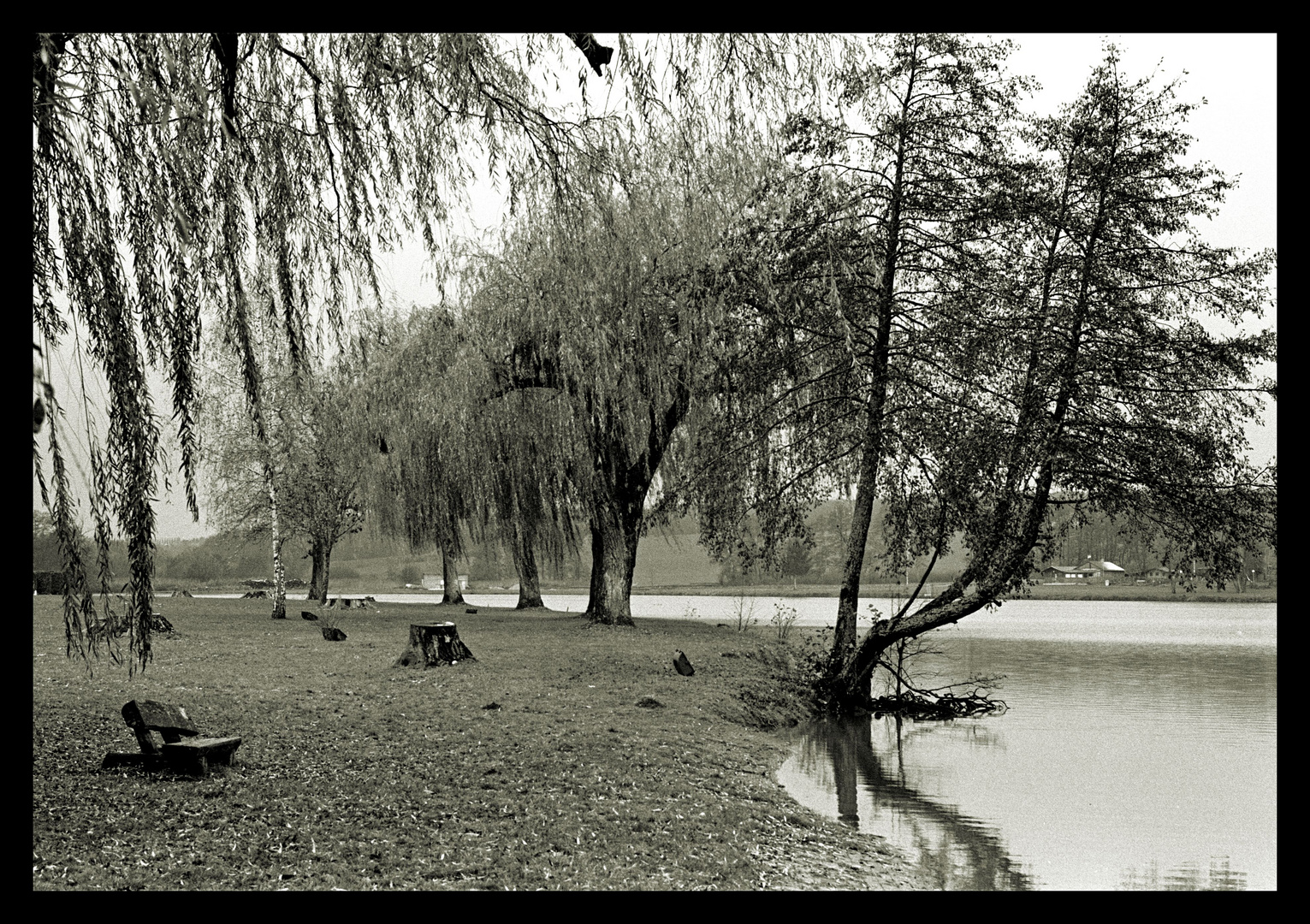 Hambacher Weiher