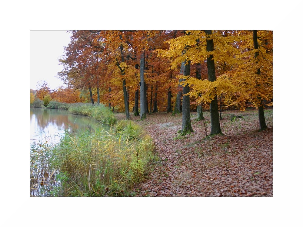 hamberger see - gündelbach