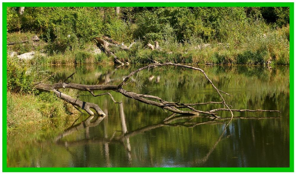 Hambergeraltarm - Natur aus zweiter Hand - Reload