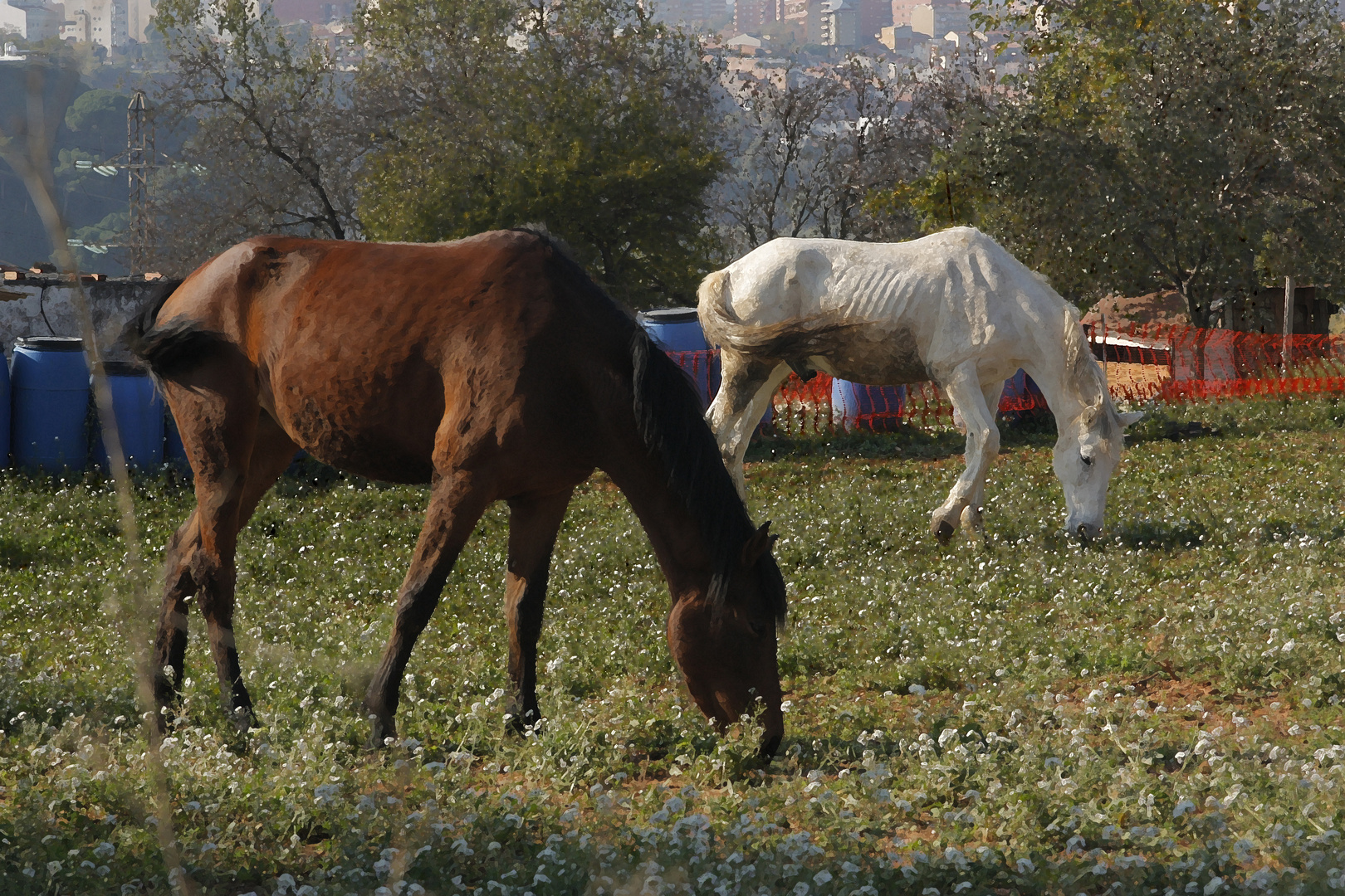 hambre equina