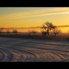 Hambrücken im Schnee