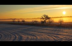 Hambrücken im Schnee