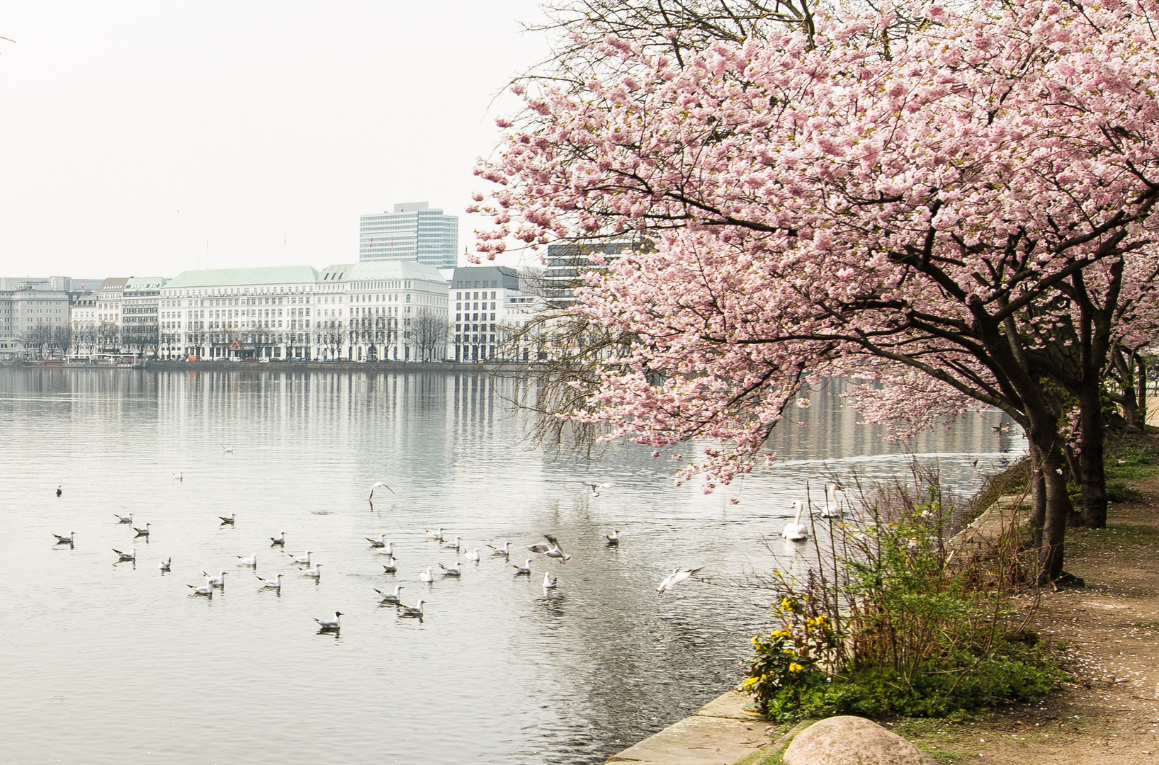 Hamburg Alster 4