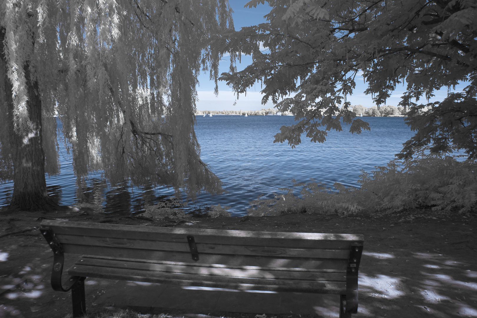 Hamburg - Alsterblick