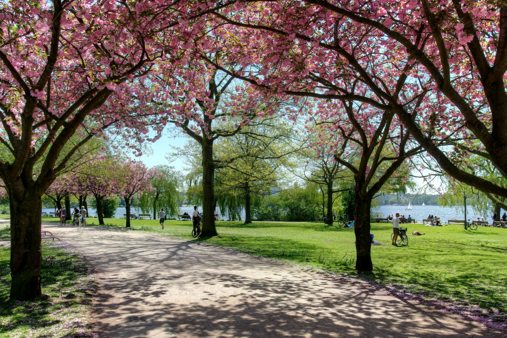 Hamburg - Alsterpark im Frühling