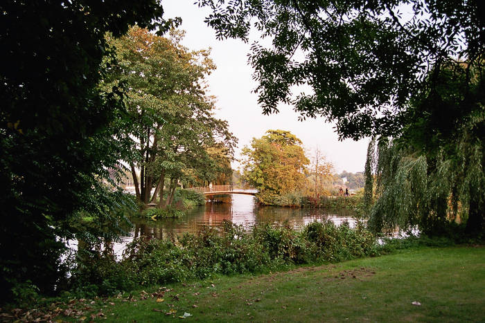 Hamburg Alsterwiesen im Spätsommer