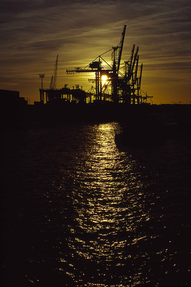 Hamburg-Altenwerder, Containerbrücken bei letztem Sonnenlicht