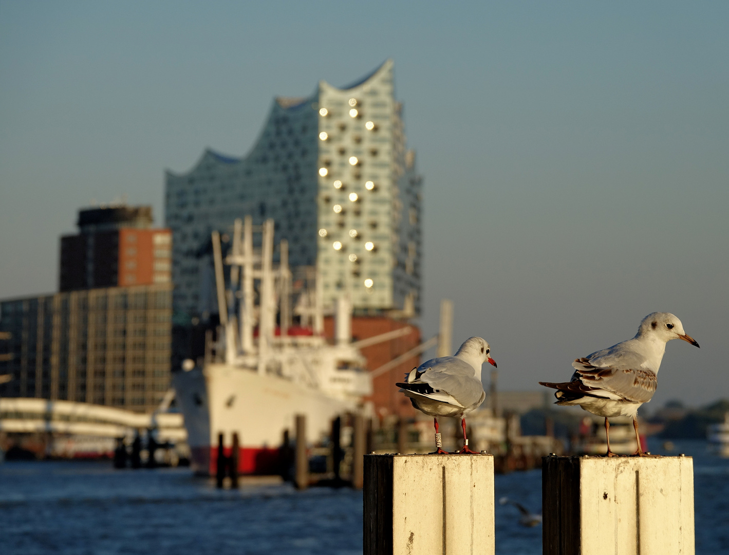 Hamburg am frühen Abend -14.10.2018 