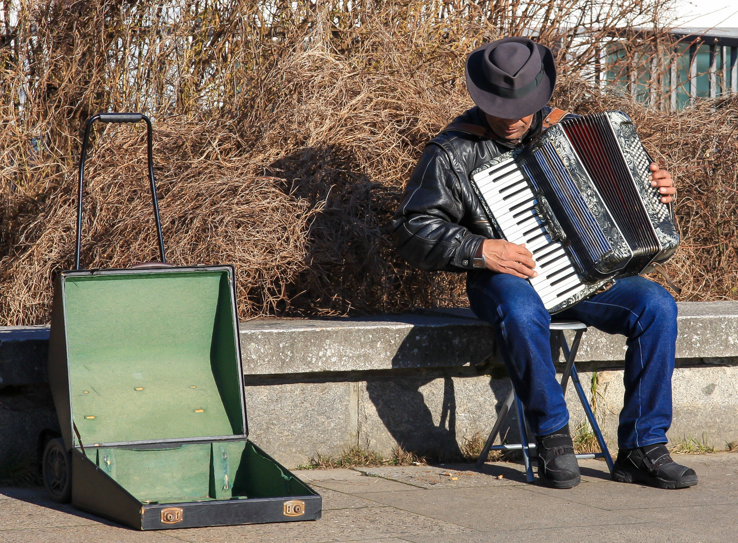 Hamburg am Hafen Musiker