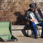 Hamburg am Hafen Musiker