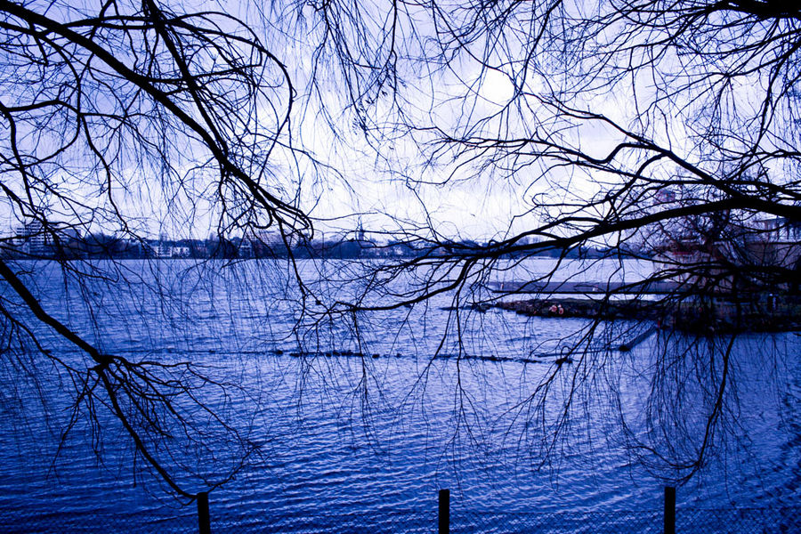 Hamburg Außenalster im Dezember