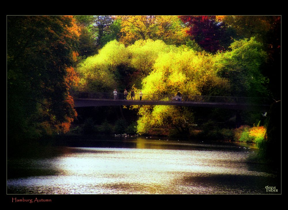 Hamburg Autumn No. 1