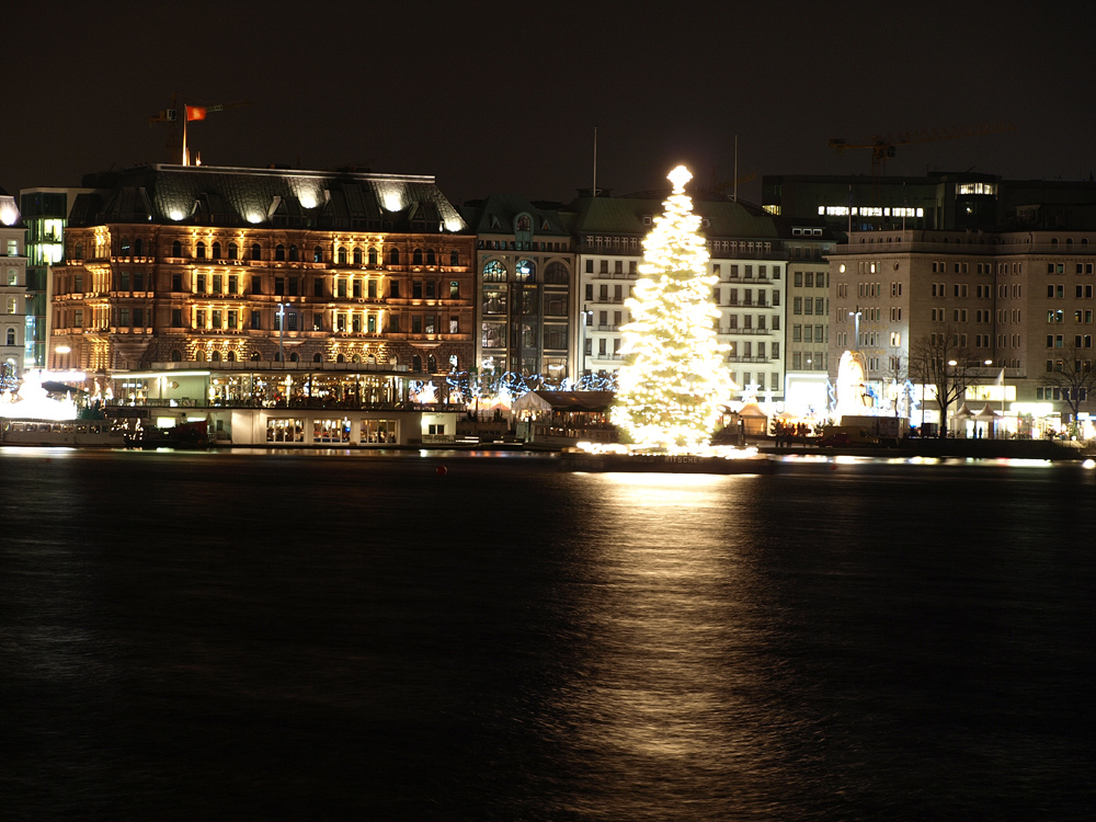 Hamburg, Binnenalster, Weihnachtsbaum vor dem Alsterhaus