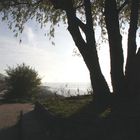 Hamburg Blankenese an einem Novembermorgen .