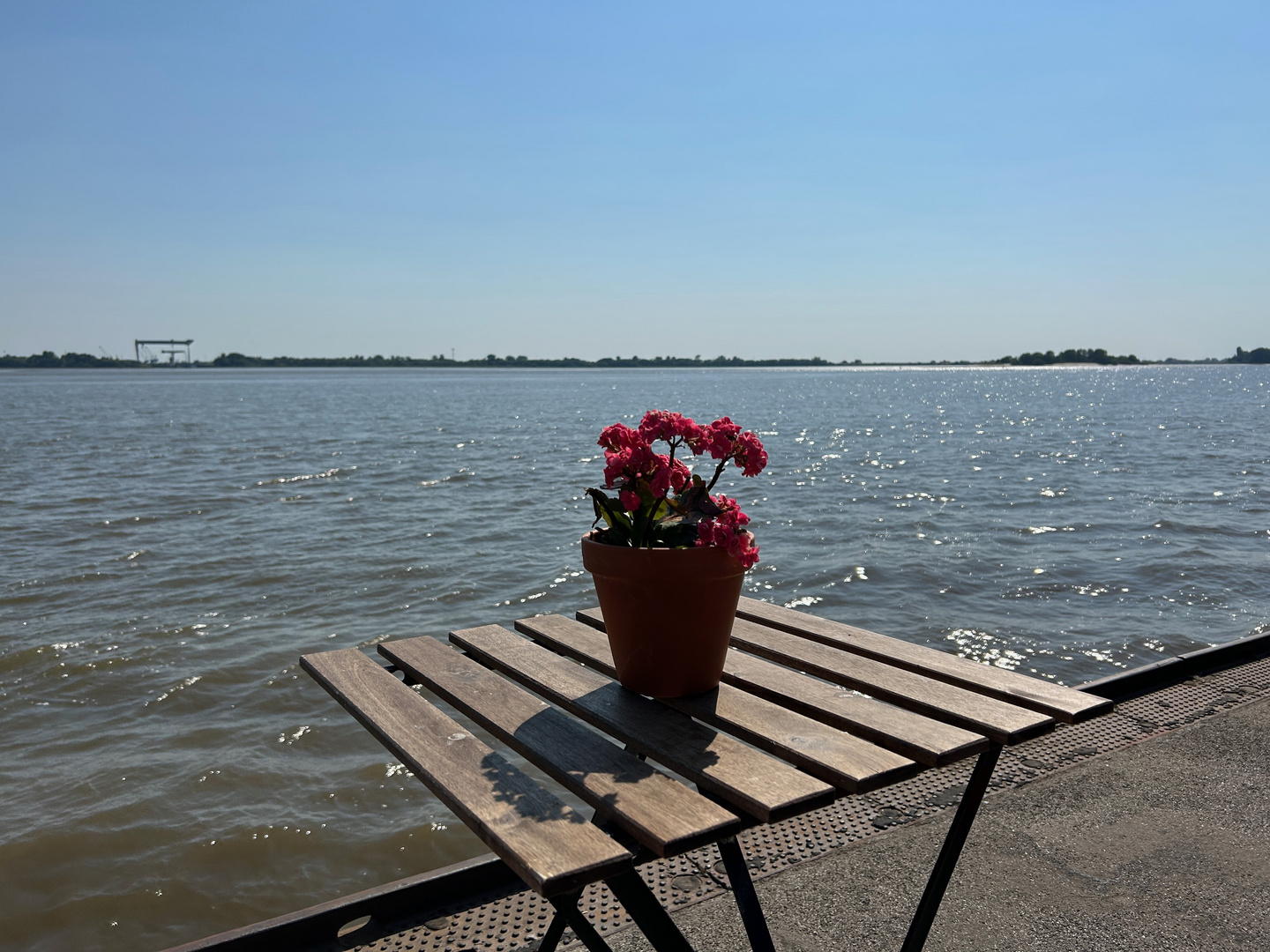 Hamburg Blankenese Ponton opn Bulln