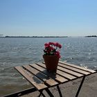 Hamburg Blankenese Ponton opn Bulln