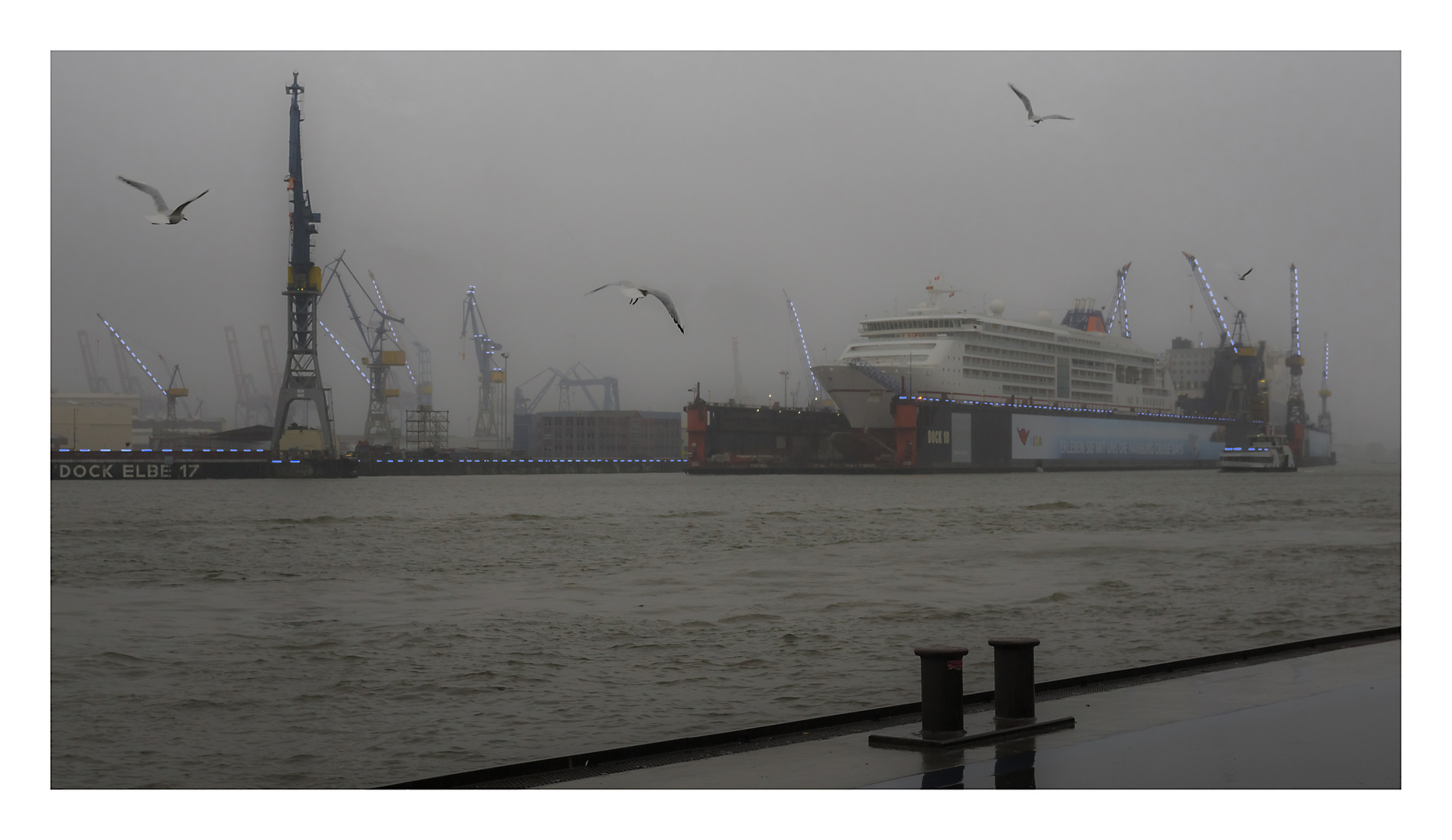 Hamburg Blue Port 2019 - Impressionen (4)