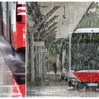 Hamburg, Busbahnhof Barmbek im Regen