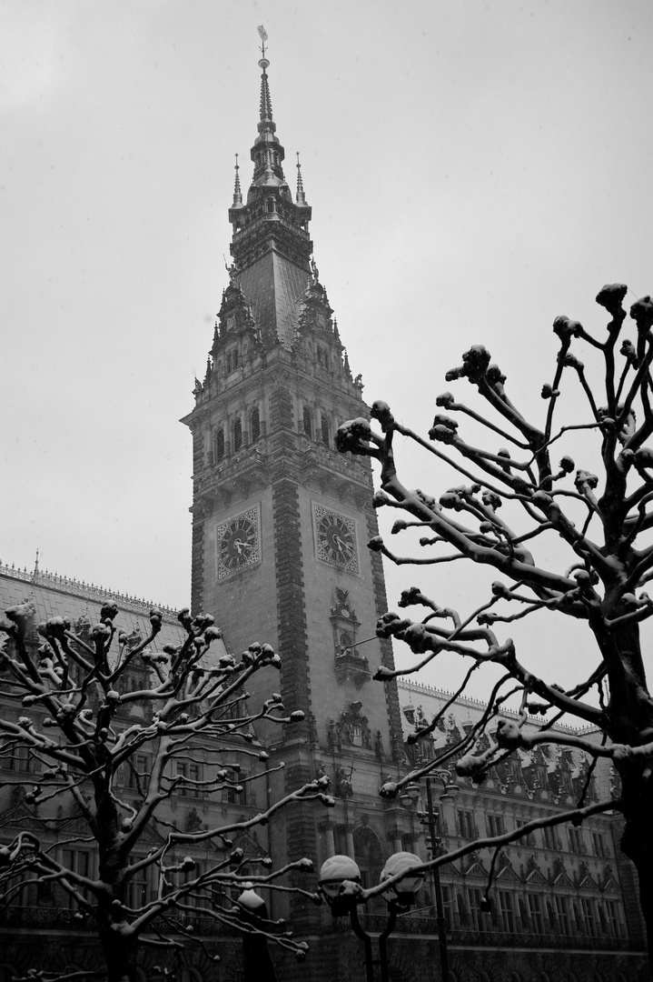 Hamburg City Hall