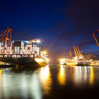 Hamburg Containerhafen in der Blauen Stunde