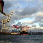 Hamburg - Containerterminal #1