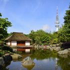 HAMBURG - DER JAPANISCHE GARTEN IM PARK PLANTEN UN BLOMEN - MAI 2014