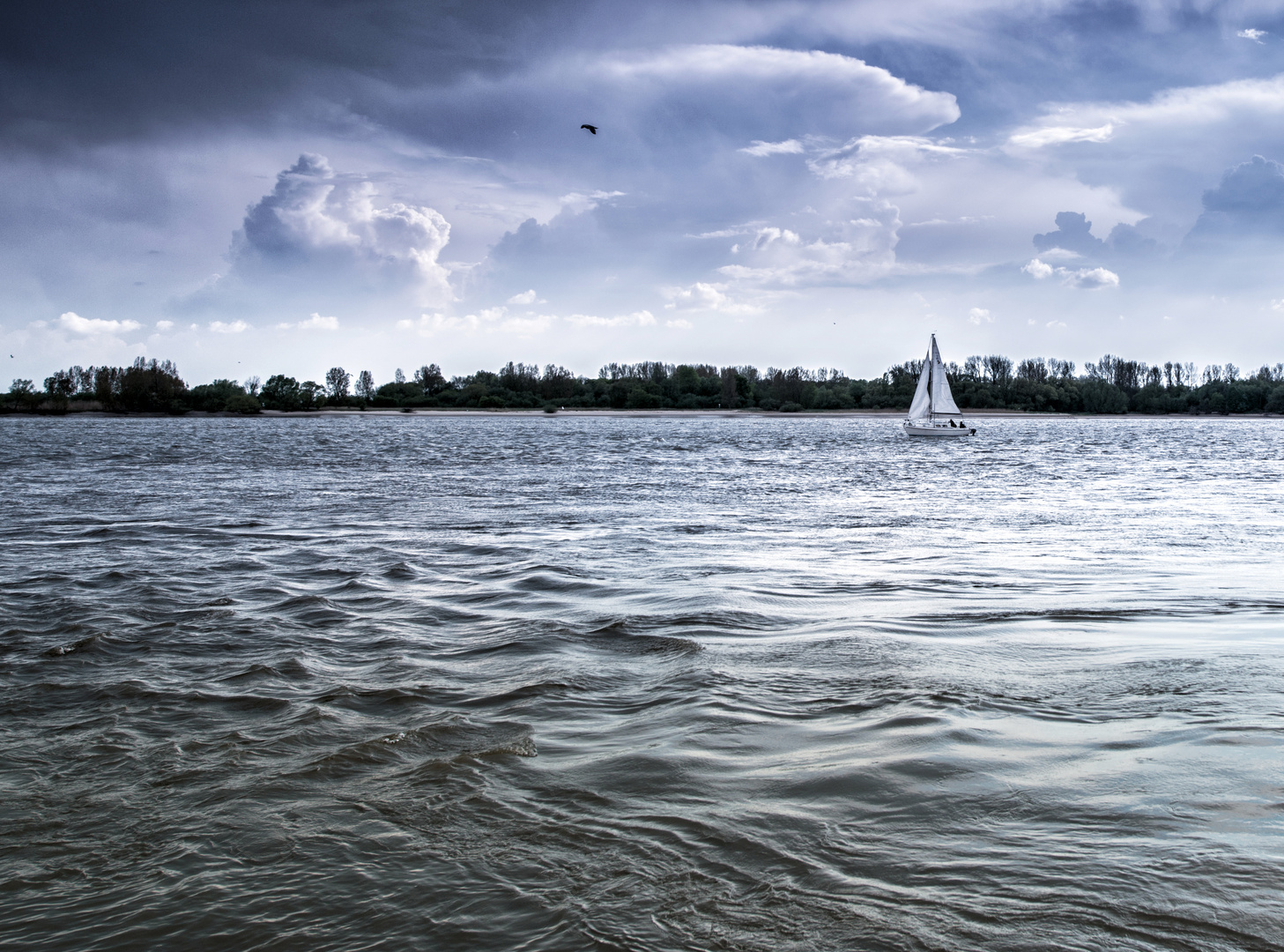 Hamburg Elbe