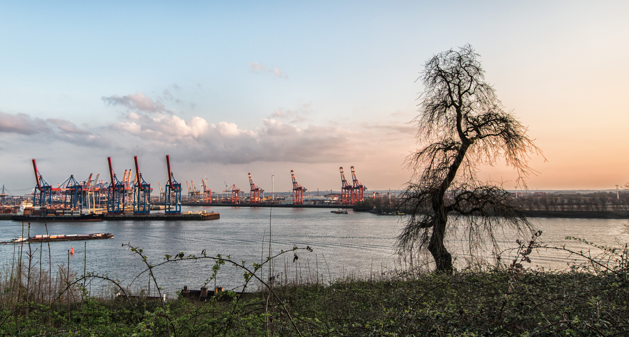 Hamburg Elbe 3