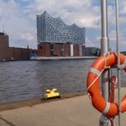 HAMBURG - Elbphilharmonie