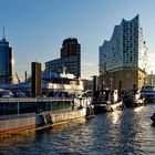 Hamburg Elbphilharmonie bei Sonnenaufgang