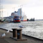 Hamburg Elbphilharmonie im Bau