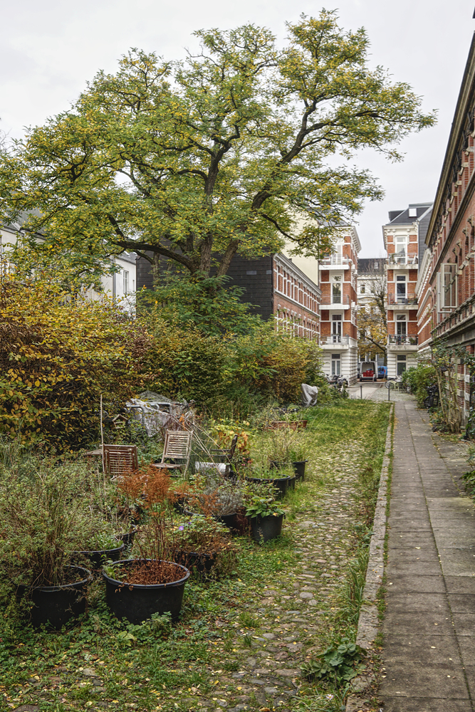 Hamburg Eppendorf im Herbst