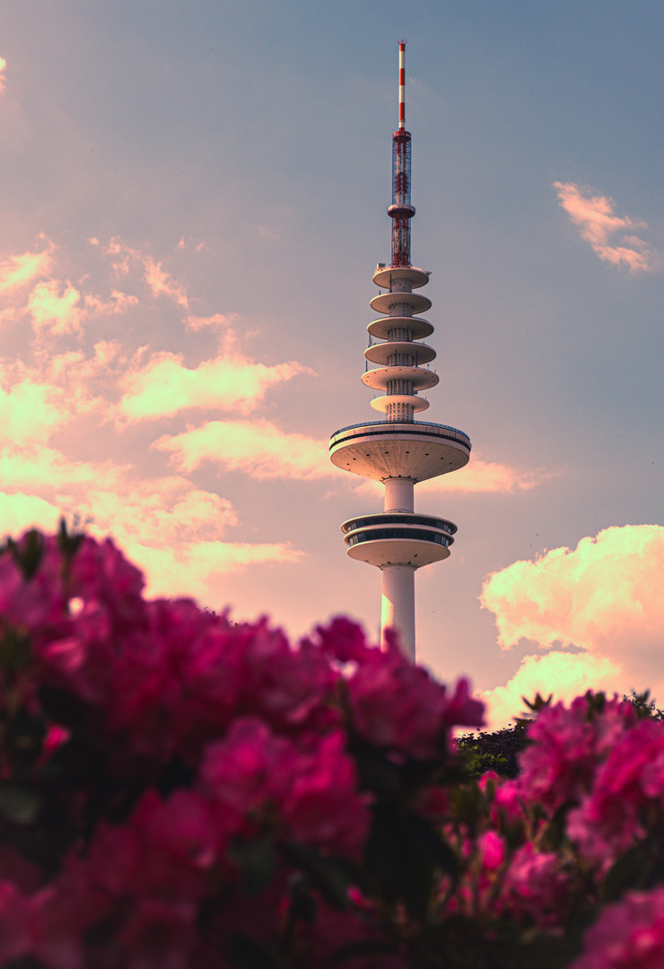 Hamburg Fernsehturm im Frühling