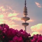 Hamburg Fernsehturm im Frühling