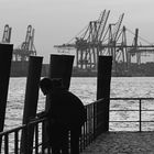 Hamburg: Fischmarkt (2016)