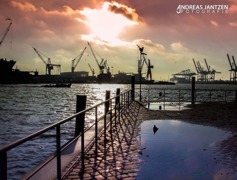 Hamburg Fischmarkt