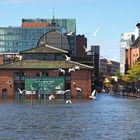 Hamburg Fischmarkt - dem Meer so nah