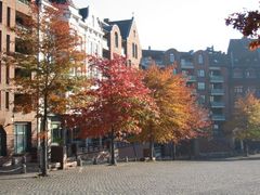 Hamburg Fischmarkt - indian summer