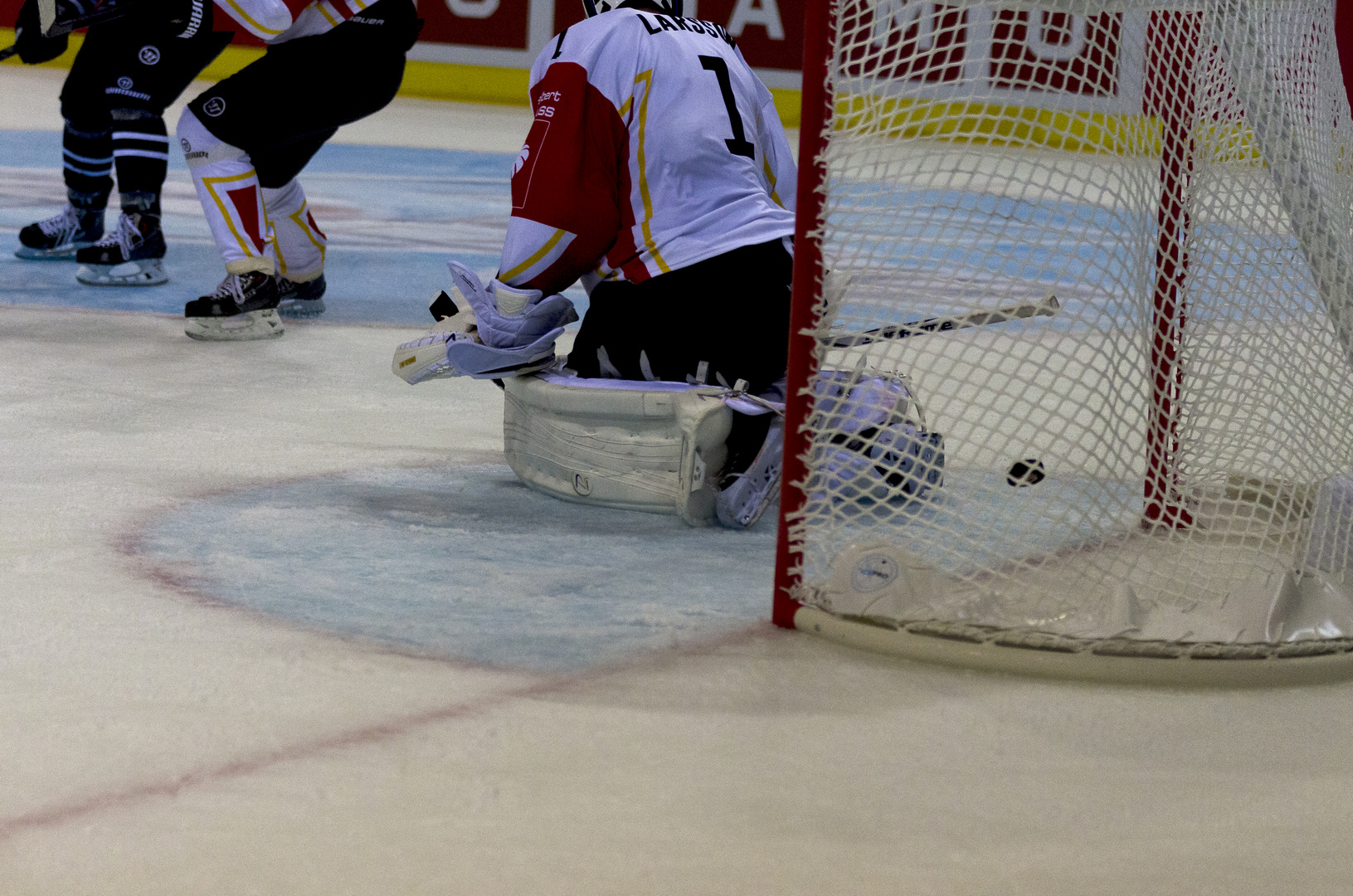 Hamburg Freezers vs Lulea Hockey Goal