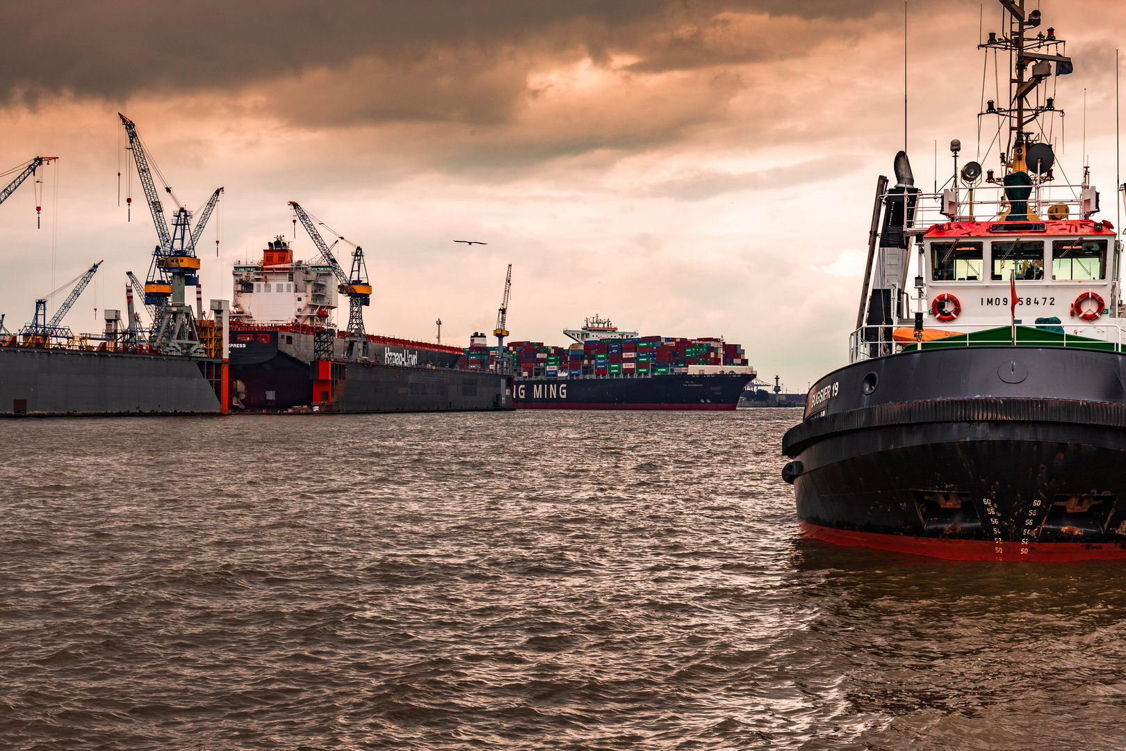 Hamburg habour