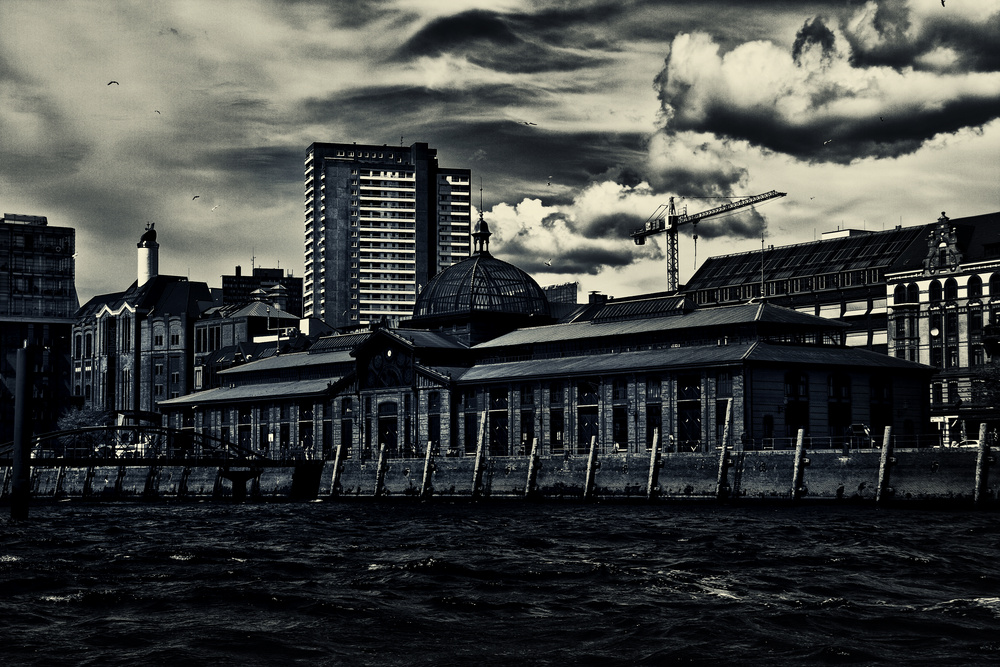 Hamburg Hafen / Fischmarkt