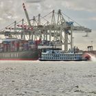 Hamburg-Hafen Größenvergleich 17