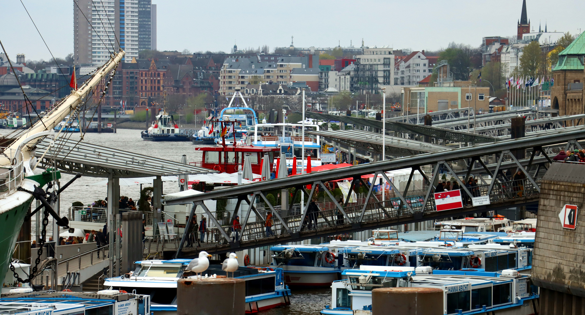 Hamburg Hafen - Möventreff