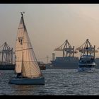 Hamburg - Hafen - Segelschiff