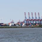 Hamburg Hafenkräne